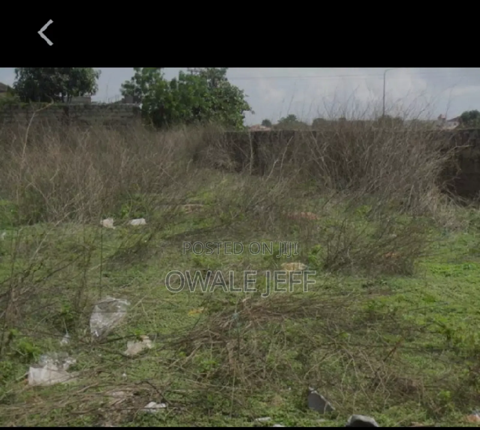 A Full Plot of Land