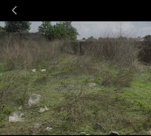 A Full Plot of Land