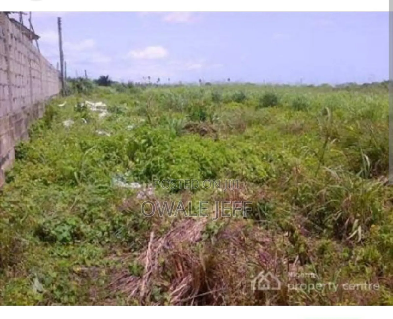 A Full Plot of Land