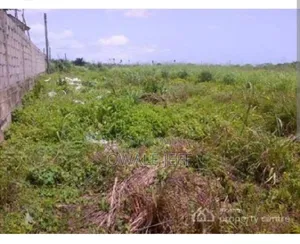 A Full Plot of Land