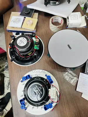 30watts Pop/Ceiling Speakers