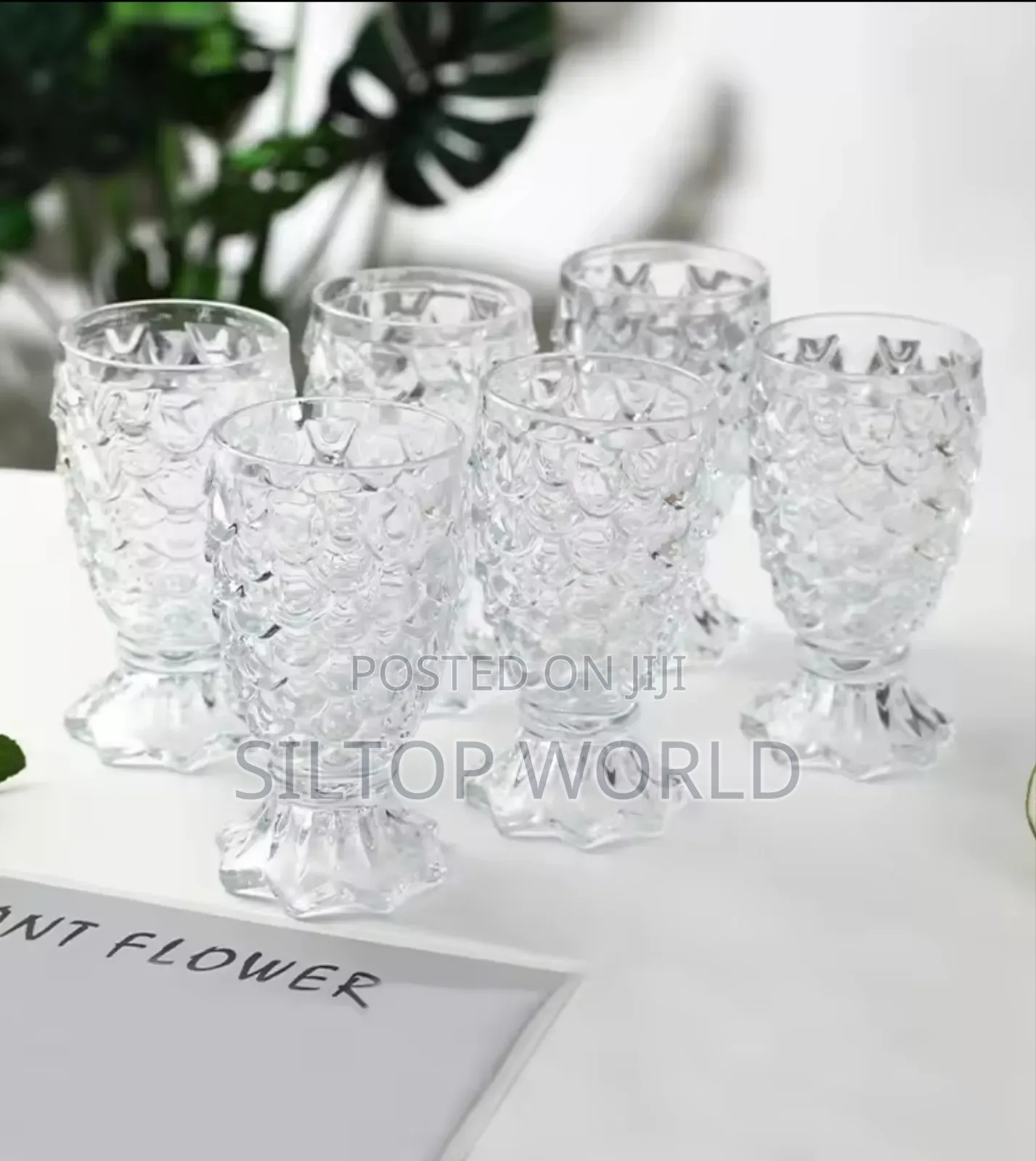 6pcs Fish Glass Cups