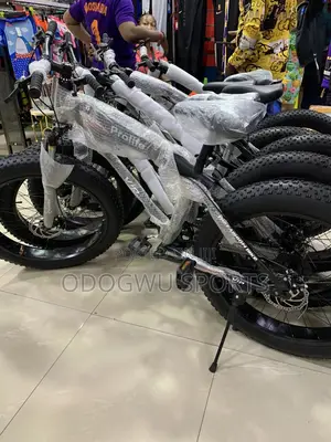 Super Fat Tyre Bicycle F026