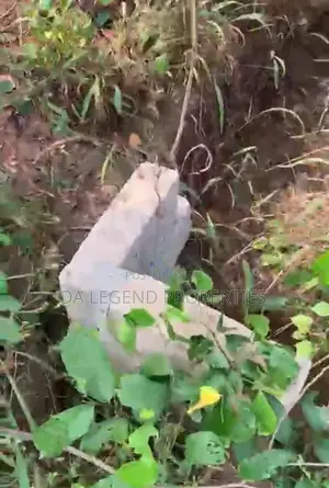 2 Standard Plot of Land for Sale