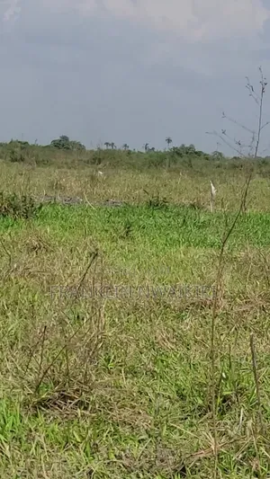 4plots Available for Sale in Sars Road