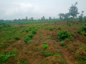 700,000 Acres Farmland for Sale at Itasa/Iwere-Ile,Oyo State