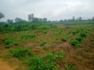 700,000 Acres Farmland for Sale at Itasa/Iwere-Ile,Oyo State