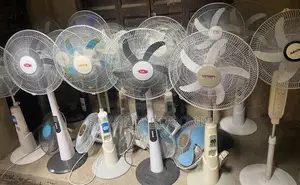 Rechargeable Fans