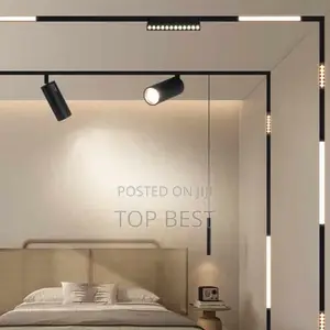 Photo - Magnetic Ceiling Light