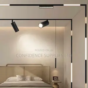 Magnetic Ceiling Light