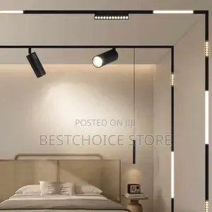 Magnetic Ceiling Light