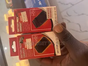 Photo - Battery Pack Charger
