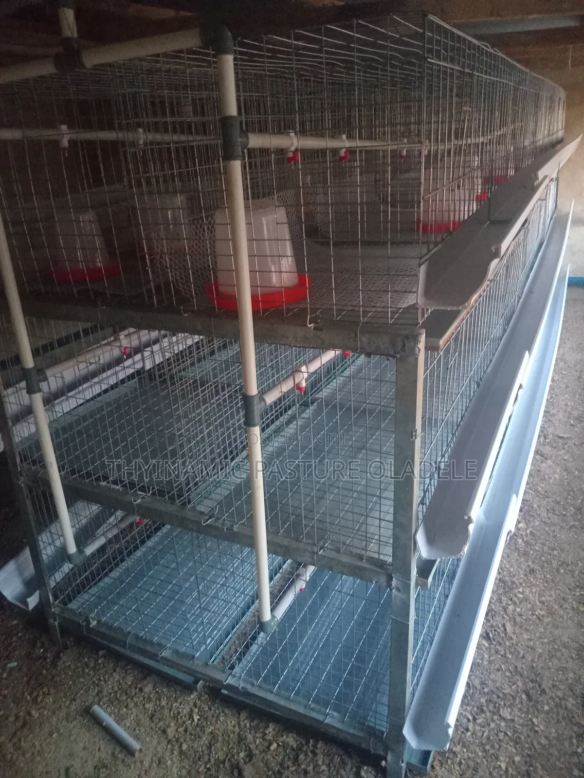 Rearing and Broiler Cage