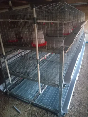 Rearing and Broiler Cage