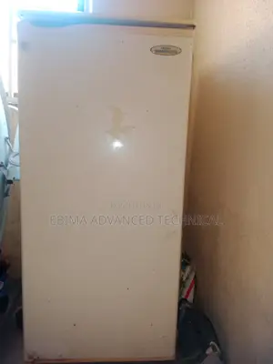 Standing Fridge
