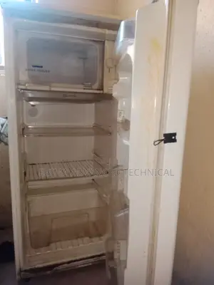 Standing Fridge