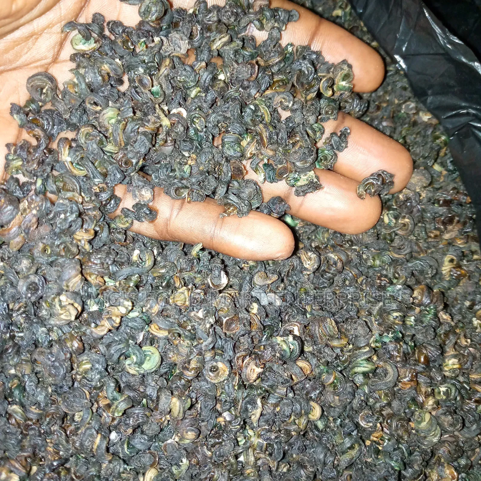 Dried Periwinkle