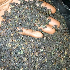 Dried Periwinkle