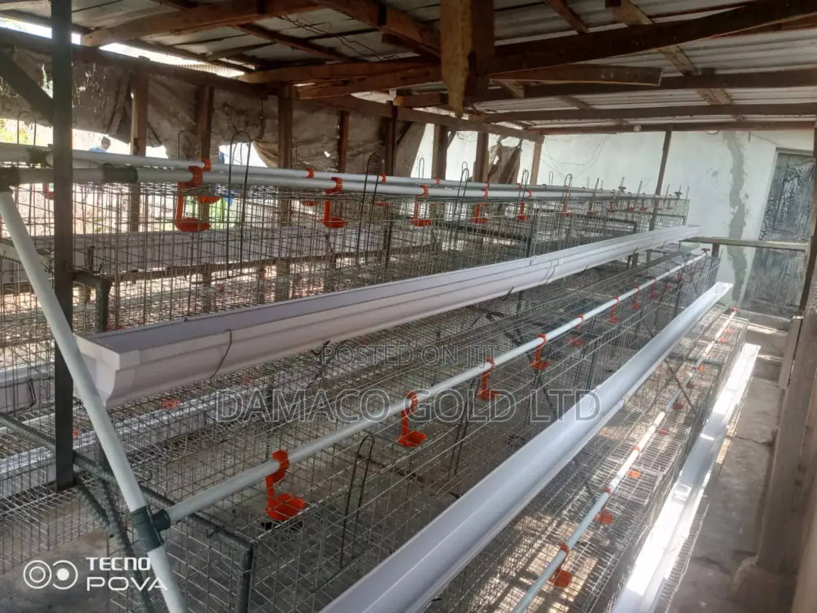 Quality Battery Cage