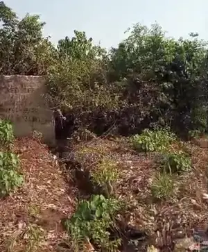 One Plot of Land for Sale