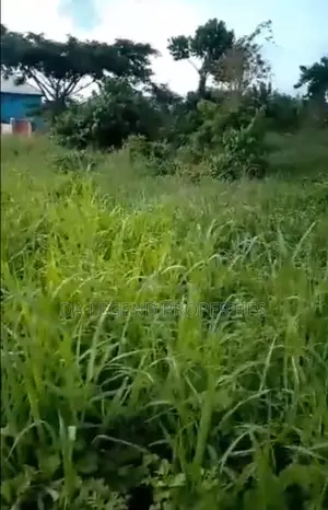 2 Standard Plot of Land for Sale