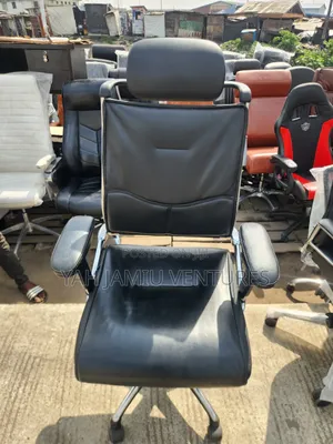 Ergonomic Chairs