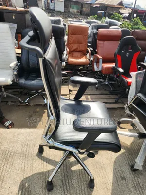 Ergonomic Chairs