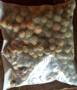 1 Kg of Gallnut