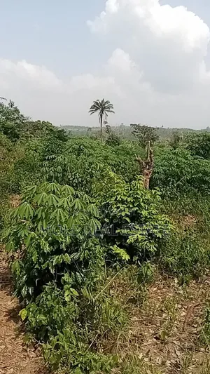 2025100 Acres Farm Land Agbowa Ikorodu