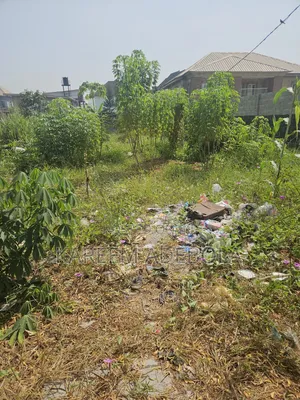 1000 Square Meters at Parkview Estate Ikoyi Lagos