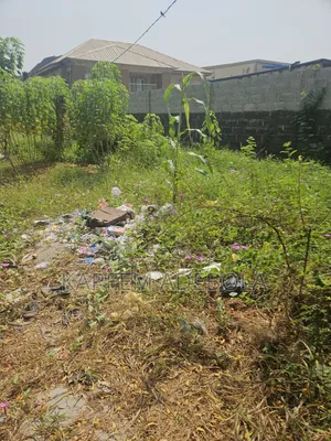 1500 Square Meters Water Front at Parkview Estate Ikoyi