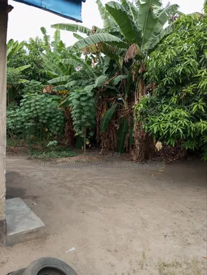 For Sale: Land With Self Contain ,Off Rd 1, Freedom Est, Ph