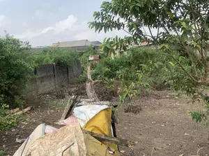 Half Plot of Land for Sale at Oreofe Ijegun