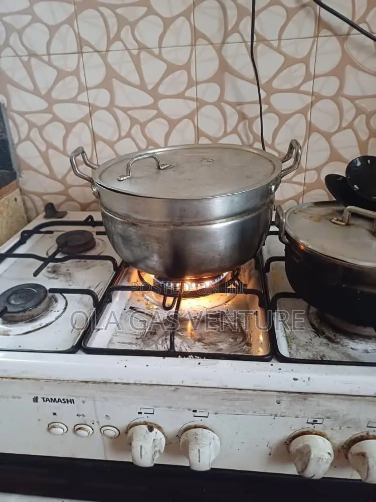 Gas Cooker Repairer