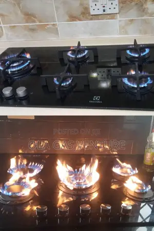 Gas Cooker Repairer