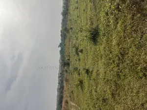 250 Acres of Land Located at Okaka, Itesiwaju Local Gov Area