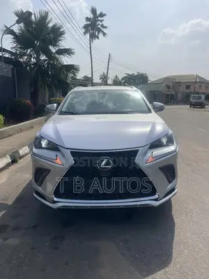 Lexus NX 300 AWD 2017 Silver