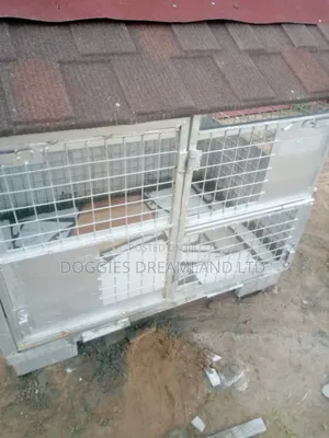 Solid and Durable Dog Cage
