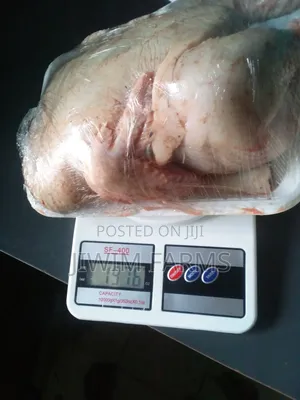 Photo - Dressed Broiler Chicken