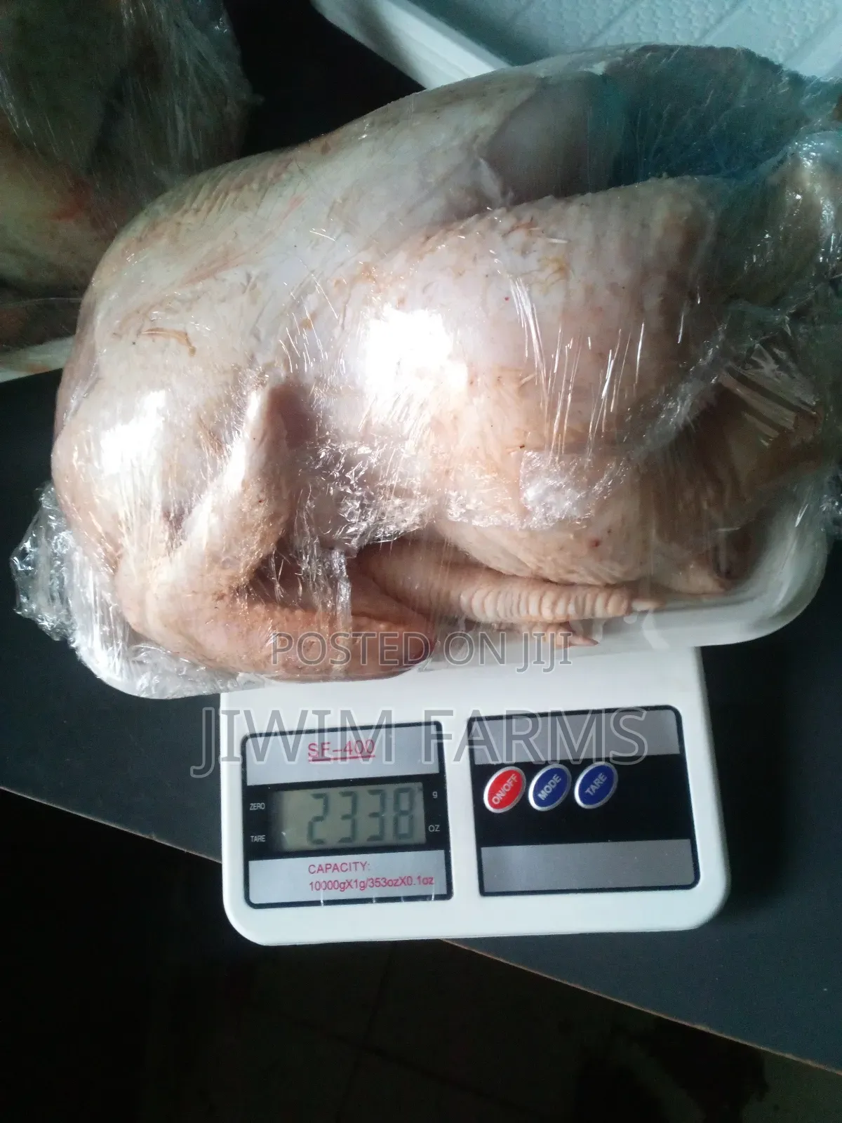 Dressed Broiler Chicken