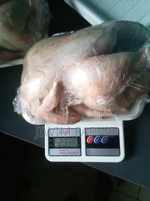 Dressed Broiler Chicken