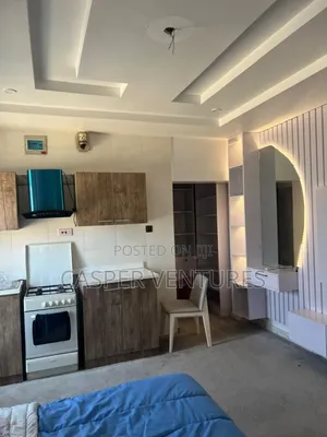 Affordable Yet Luxurious Studio