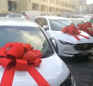 Car Gift Ribbon Design