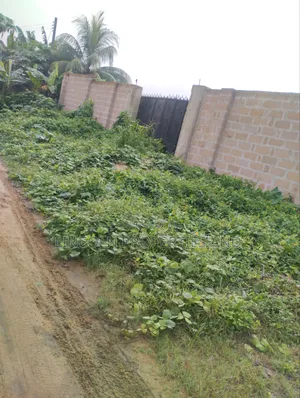 2400sqm Land, Fenced Gated in Abak Road, Uyo.