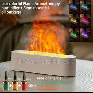 RGB Flame Aroma Diffuser Humidifier Air Purifier With 7color