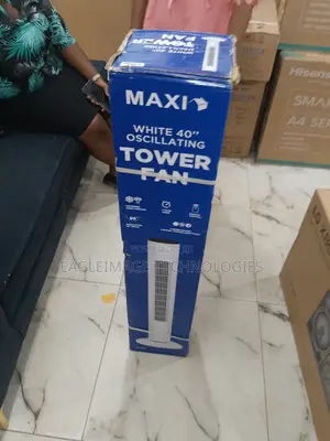 Perfectly Made Maxi 40'' Oscillating Fan(Fz10-22jr)