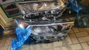 Head Light