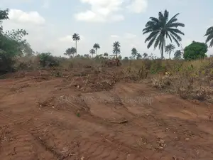 Best Deal of the Year Ibusa Land Asaba Delta State