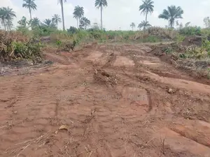 Best Deal of the Year Ibusa Land Asaba Delta State