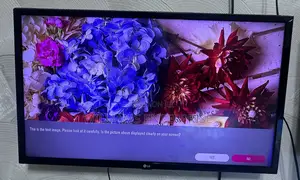 LG 32 Inches LED TV